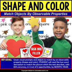 Identifying Color and Shape Task Box Filler® for Special Education and Autism